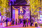 Paramount Studios Holiday Tree Lighting